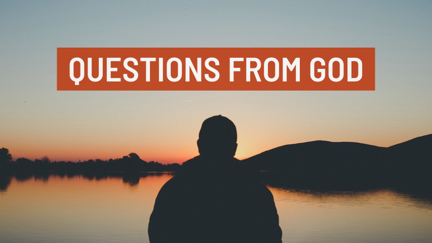Questions from God